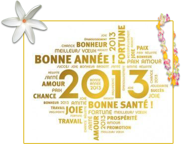 bonne-annee-2013