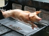 img_3535 img_3535