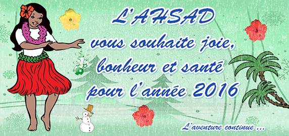 Bonne Année 2016